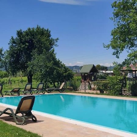 Agriturismo L'Albara - Wines, Pool & Spa Villaganzerla Экстерьер фото