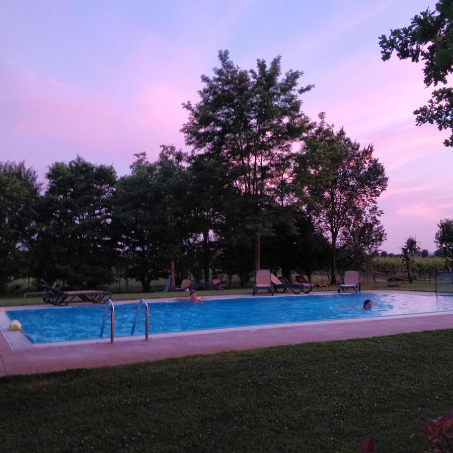 Agriturismo L'Albara - Wines, Pool & Spa Villaganzerla Экстерьер фото