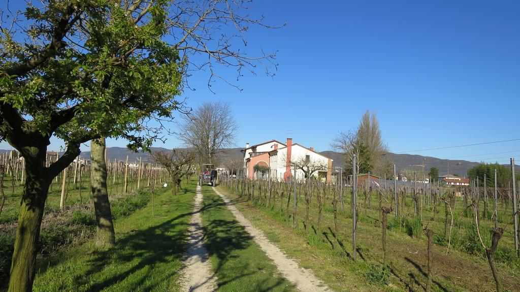 Agriturismo L'Albara - Wines, Pool & Spa Villaganzerla Экстерьер фото