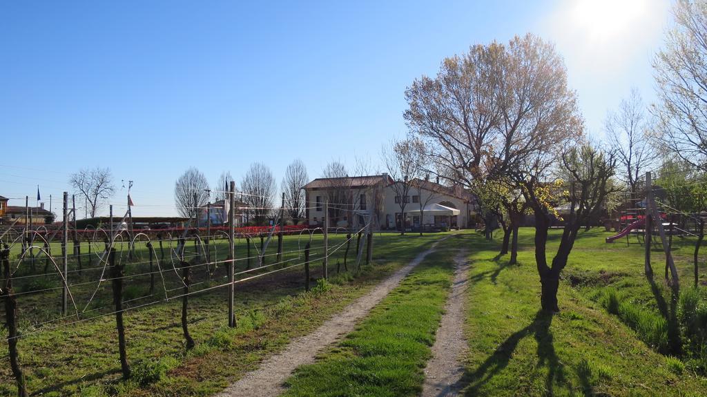 Agriturismo L'Albara - Wines, Pool & Spa Villaganzerla Экстерьер фото