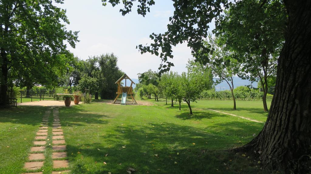 Agriturismo L'Albara - Wines, Pool & Spa Villaganzerla Экстерьер фото