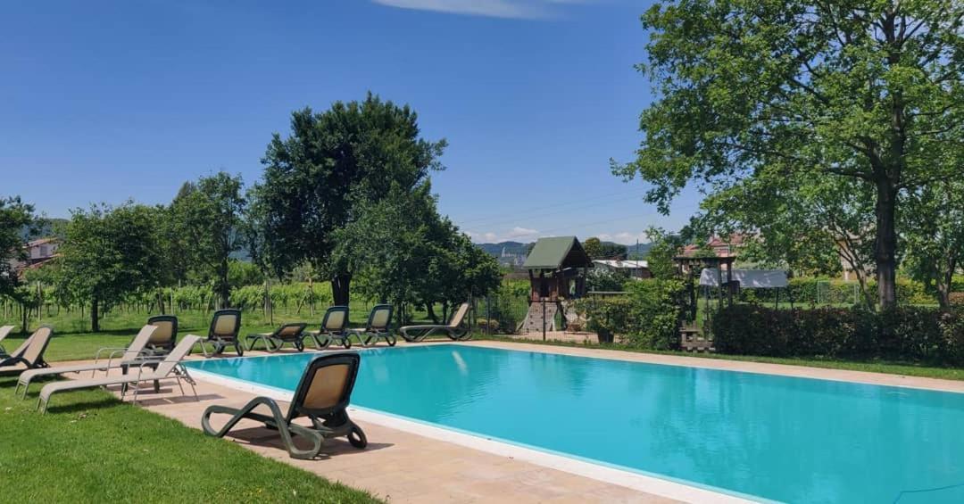 Agriturismo L'Albara - Wines, Pool & Spa Villaganzerla Экстерьер фото